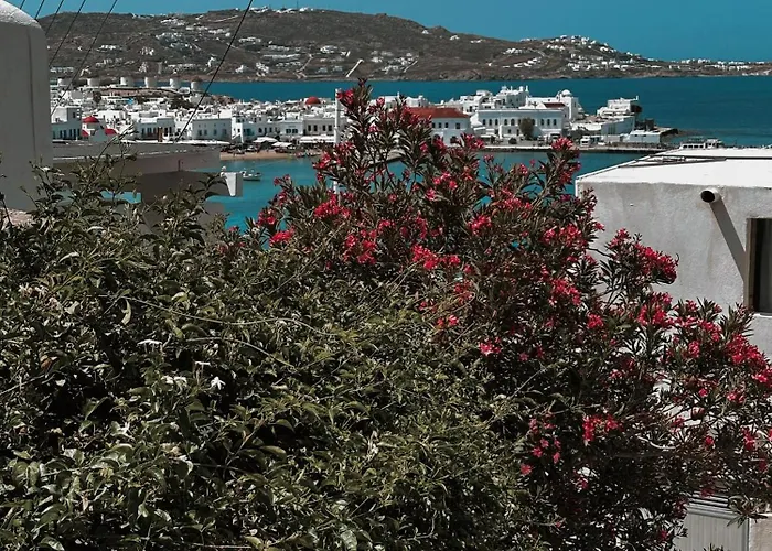Casa vacanze Sunset View Garden House Of Mykonos *